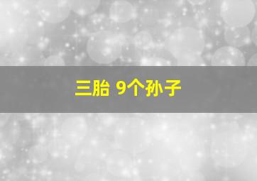 三胎 9个孙子